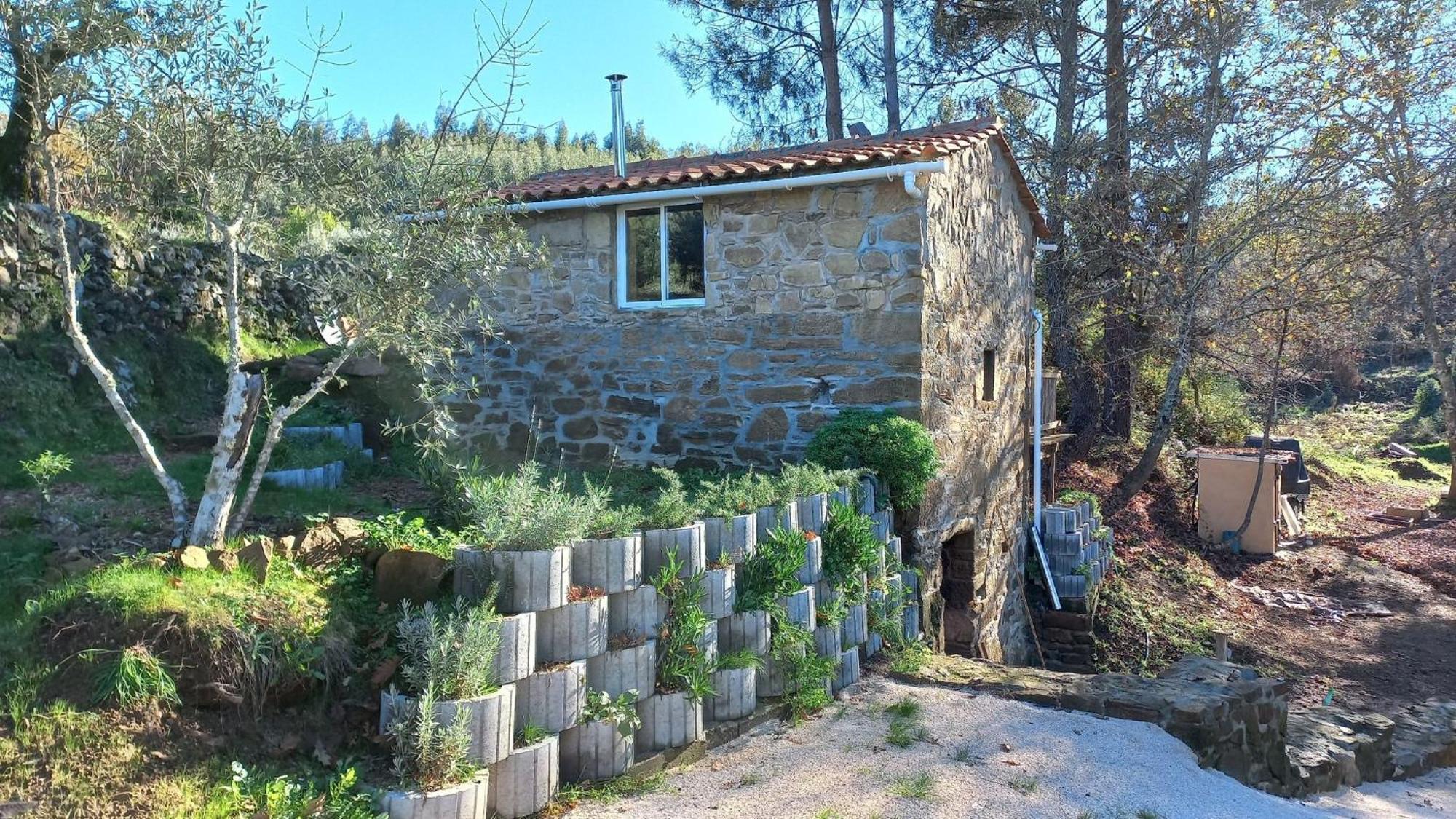 Cabana Do Carvalhal Apartamento Pedrógão Pequeno Exterior foto
